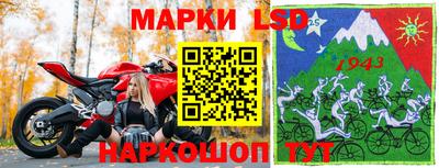 шишки Кимры