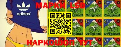 шишки Кимры