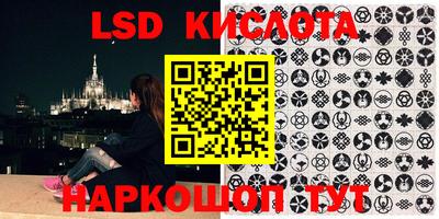 шишки Кимры