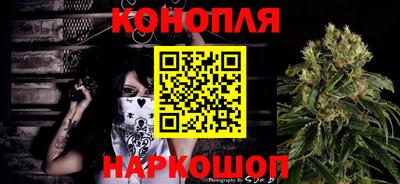 шишки Кимры