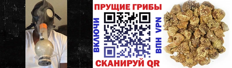 Галлюциногенные грибы Magic Shrooms  hydra зеркало  Каменка 