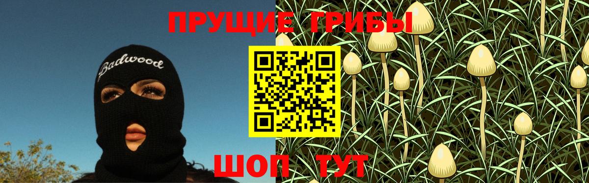 Каменка  Псилоцибиновые грибы ЛСД  Вход с VPN  наркота  Псилоцибиновые грибы Magic Shrooms 